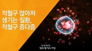 적혈구 많아져 생기는 질환 적혈구 증다증 - 20120602_415회 방송_또 하나의 장기 혈액