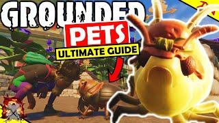 GROUNDED ULTIMATE GUIDE TO PETS Update Pet Perks How To Craft Food And Pet Cosmetics Pet Gnats