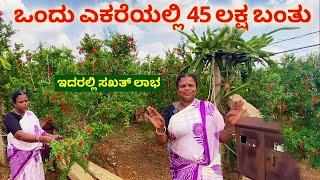 ಈ ಬೆಳೆ ಬಗ್ಗೆ ನನಗೆ ಏನೂ ಗೊತ್ತಿರಲಿಲ್ಲ  Farming in Kannada  Pomegranate farming in Karnataka  dalimbe