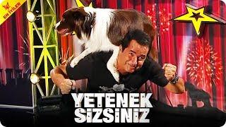 Şampiyon Köpek Maxtan Müthiş Gösteri  Yetenek Sizsiniz Türkiye