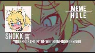 ＳＨＯＫＫ青 - You Reposted In the Wrong Neighborhood Bowsette Edition