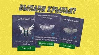 Бесконечное открытие коробок с отцом холодцом и сестрой  выпали 3 пары крыльев?Avakin Life