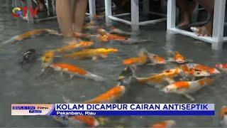 Sensasi Makan Rujak Ditemani Ikan Koi di Pekanbaru - BIP 0406