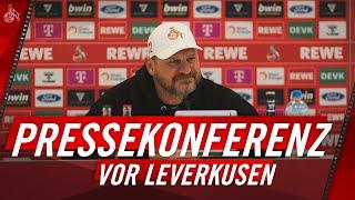 LIVE Pressekonferenz mit Steffen BAUMGART vor Leverkusen  1. FC Köln  Bundesliga