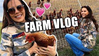 Buying a Farm? ... Heres My Vlog