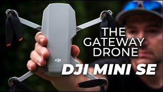 DJI Mini SE Review  Best Budget Drone - EVER