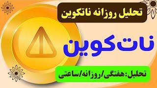 تحلیل نات کوین NOT در آستانه‌ی رشد پامپ اما با احتیاط ناتکوین بخرید؟