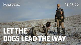 Let the Dogs Lead the Way - Upland Hunting Washington State with Pointing Dogs