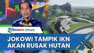 Presiden Jokowi Tampik IKN Rusak Hutan di Kaltim Sebut Justru Hutan Rusak akan Direhabilitasi