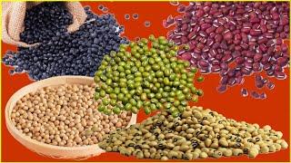 Beans For Weight Loss Top 3 Reasons Why Beans Help you to Lose Weight   Fat Burning Foods