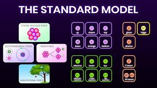 All Fundamental Forces and Particles Explained Simply  Elementary particles