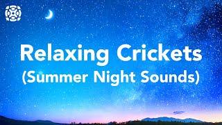 Night Time Summer Nature Sounds Cricket Conversations For Sleeping 12 Hours