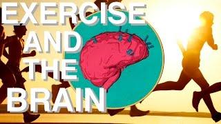 WHY Exercise is so Underrated Brain Power & Movement Link