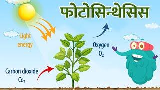 फोटोसिन्थेसिस  प्रकाश संश्लेषण  Photosynthesis In Hindi  Dr.Binocs Show  Binocs Ki Duniya