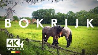 Walking in Bokrijk Historic Rural Farm Life Exhibition in Belgium 4K