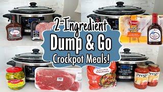 10 Cheap & Fancy Crockpot Dinners  The EASIEST 2-Ingredient Slow Cooker Recipes  Julia Pacheco