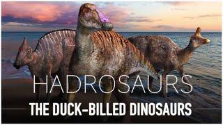 Hadrosaurs The Duck-Billed Dino’s  Dinosaur Documentary