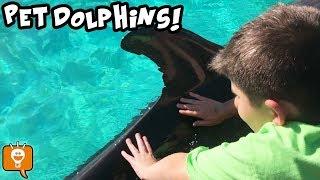 Legoland Review and We Pet a Dolphin by HobbyFamilyTV