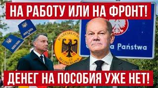 Шутки закончились Германия делает заявление для украинцев Польша новости