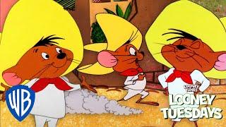 Looney Tuesdays  Best of Speedy Gonzales  Looney Tunes  @WB Kids