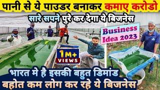 सारे सपने पुरे करेगा ये बिज़नेस पानी से पाउडर बनाकर कमाए करोडो business ideas  spirulina farming