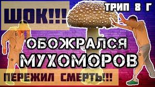 Осторожно Бед Трип на Мухоморе. ШОК Контент 18+