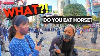 Do Japanese People REALLY Eat Basashi?   Street Interview Vlogmas Day 3