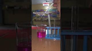 Live देखो What is Neutralization? Effects of Acids and Bases on Phenolphthalein #shorts