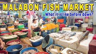 MALABON FISH MARKET in the Early Hours  Dark Hours Fish Trading in METRO MANILA #Malabonfishport