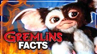 Interesting facts about Gremlins