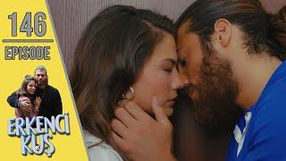 Early Bird - Episode 146 English Subtitles  Erkenci Kus