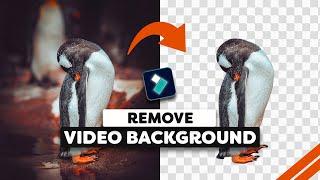 Remove Video Background On Filmora 13