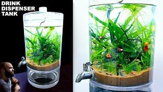 Drink Dispenser Aquarium NO TECH Ecosystem Nano Tank Aquascape Tutorial