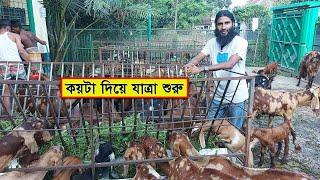 কয়টা ছাগল হতে আজকে আমাদের ১০০+ ছাগল হলো  01988883104  Goat farming BD