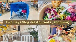 Sunday and Monday Vlog Tamil  CAVA RestaurantGrocery shopping  Tamil family in USA