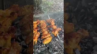 جوجه کباب و بال کباب زعفرانی زغالی در کلبه های چوبی جوارم مازندران  #food