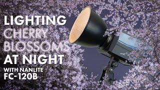 Beauty of Cherry Blossoms at Night with Nanlite FC-120B
