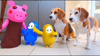 Animations in REAL LIFE vs Funny Dogs   Peppa Pig - Fall Guys