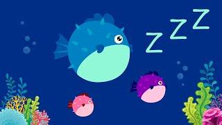 Sleep Water Sound for Baby Bedtime Underwater White Noise and Fish Animation for Newborn and Family