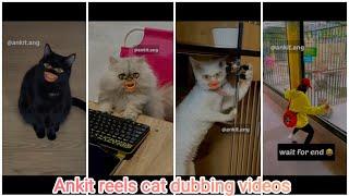 Ankit.ang funny cat dubbing videos  part- 2  funny Instagram trending cat videos