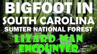 BIGFOOT EXPERIENCE IN SOUTH CAROLINA SUMTER NATIONAL FOREST I HAVE SEEN LIZARD MAN BEFORE