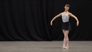 Insight Ballet Glossary - Pas de chat