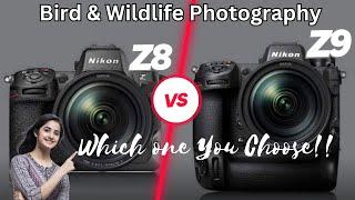 Nikon Z8 vs Z9 Decoding the Best Camera for Bird Photography in 2023