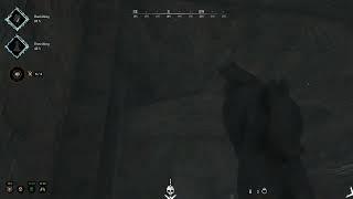 Hunt  Showdown   Invincible cheaters