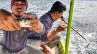 MANCING IKAN TENGGIRI TEKNIK TONDA² UMPAN HIDUP RANGKAIAN 4 MATA PANCING