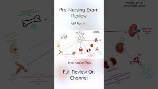 Pre-Nursing Exam Review A Anatomy & Physiology￼ Part14