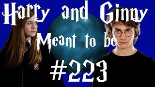 Harry and Ginny - Meant to be #223