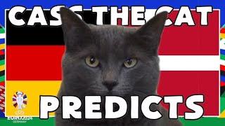 EURO 2024 ROUND OF 16 - GERMANY vs DENMARK CASS THE CAT PREDICTION