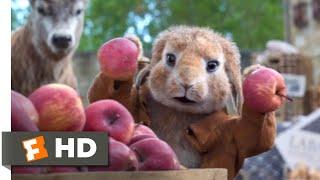 Peter Rabbit 2 The Runaway 2021 - The Farmers Market Heist Scene 810  Movieclips