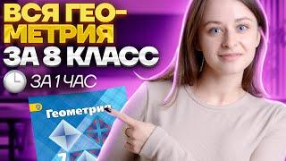 Геометрия 8 класс за 1 час  Математика  Умскул